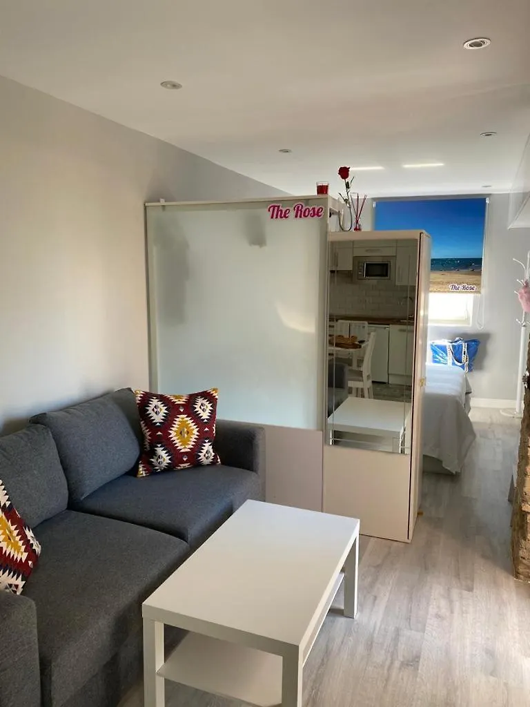 Atico Loft The Rose 48 Apartment Cadiz Spain